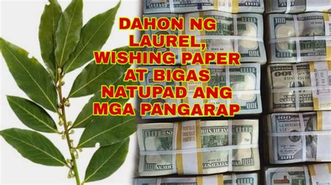 ano ang ibig sabihin ng dahon ng laurel .